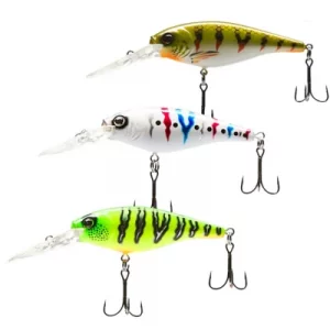 Fishing Baits & Lures